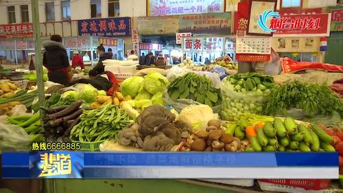 氣溫下降煙臺蔬菜海鮮價格平穩 鮮海參85元一斤