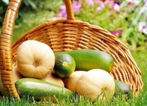 農(nóng)產(chǎn)品品質(zhì)包括哪些方面