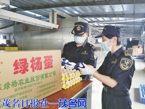 海關助力茂名鮮雞蛋首次出口，網上銷售初級農產品邁新步