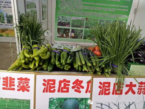 熱烈祝賀2018亳州特色農產品展暨首屆中國農民豐收節盛大開幕